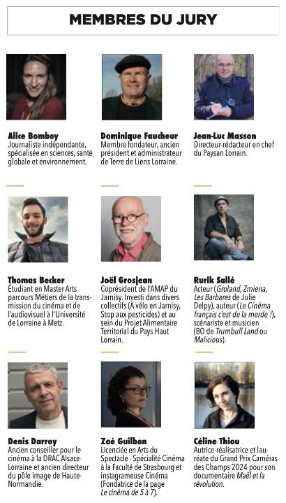 Jury